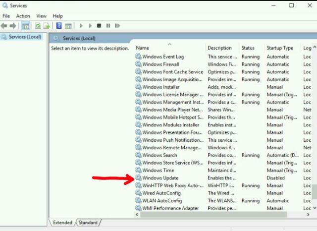 wp-1495006016106 image