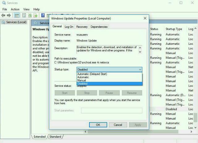 wp-1495006132583 image