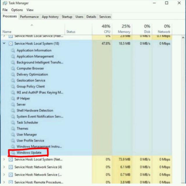 wp-1495006526471 image